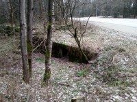 20121129_155804.jpg