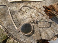 P5050396.JPG (504.19 КБ) 13802 просмотра P5050396.JPG