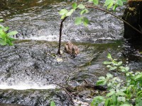 012.JPG (440.49 КБ) 12341 просмотр 012.JPG