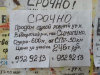 20130627_084139.jpg