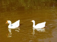 IMG_6472.jpg (238.85 КБ) 11893 просмотра IMG_6472.jpg