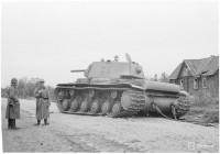 51406.jpg