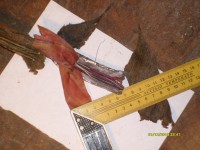 S7301262.JPG