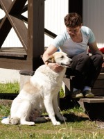 щенки3.JPG (433.5 КБ) 2303 просмотра щенки3.JPG