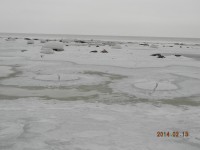 Изображение 049.jpg (209.13 КБ) 5379 просмотров Изображение 049.jpg