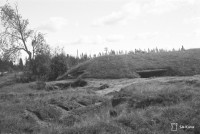 Screenshot_7.jpg