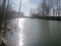 IMG_9213.jpg (122.36 КБ) 15500 просмотров IMG_9213.jpg