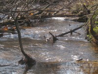 IMG_9427.jpg (171.85 КБ) 15478 просмотров IMG_9427.jpg