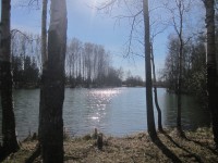 IMG_9505.jpg (129.75 КБ) 15927 просмотров IMG_9505.jpg