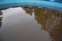 DSC_3369.JPG