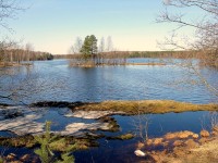 IMG_1486.JPG