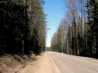 IMG_1538.JPG
