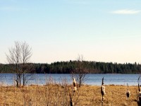 IMG_1547.JPG
