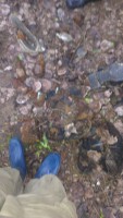IMAG0253.jpg