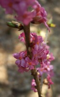 DSCF6074.jpg