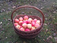 IMAG0419.jpg (343.92 КБ) 15501 просмотр IMAG0419.jpg