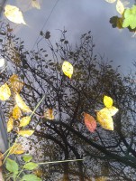 IMAG0416.jpg (190.66 КБ) 15936 просмотров IMAG0416.jpg