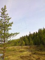 Фото0033 - копия.jpg (744.01 КБ) 15694 просмотра Фото0033 - копия.jpg