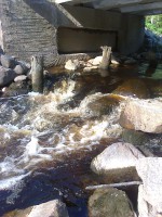 Фото0034.jpg (1.06 МБ) 15697 просмотров Фото0034.jpg