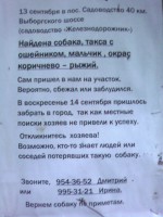 140_такса.jpg (119.83 КБ) 3113 просмотров 140_такса.jpg