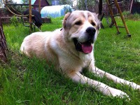 IMG_2958.jpg (224.14 КБ) 3489 просмотров IMG_2958.jpg