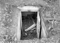 42071.jpg (206.79 КБ) 18768 просмотров 42071.jpg