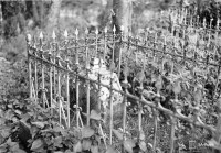 42072.jpg (223.16 КБ) 20404 просмотра 42072.jpg