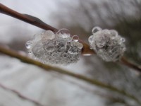 IMG_3590.jpg (49.03 КБ) 18213 просмотров IMG_3590.jpg