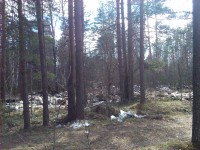 IMG_20150425_134720.jpg (1.63 МБ) 7288 просмотров IMG_20150425_134720.jpg