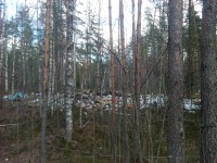 IMG_20150425_134645.jpg (1.73 МБ) 7233 просмотра IMG_20150425_134645.jpg