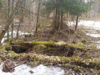 IMG_20150425_135316.jpg (1.43 МБ) 7044 просмотра IMG_20150425_135316.jpg