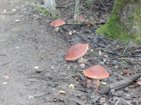 dscn1102-qpr.jpg (202.23 КБ) 12922 просмотра dscn1102-qpr.jpg