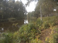 16.JPG (357.28 КБ) 10607 просмотров 16.JPG