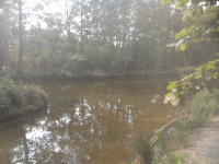 15.JPG (308.32 КБ) 10370 просмотров 15.JPG