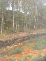 12.JPG (572.12 КБ) 10363 просмотра 12.JPG