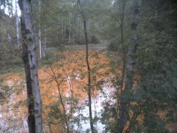 10.JPG (369.36 КБ) 10370 просмотров 10.JPG