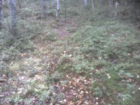 09.JPG (377.9 КБ) 10617 просмотров 09.JPG