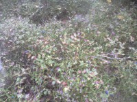 08.JPG (374.22 КБ) 10363 просмотра 08.JPG