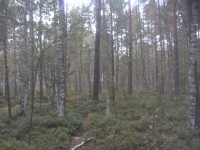 07.JPG (325.81 КБ) 10382 просмотра 07.JPG