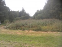 04.JPG (288.73 КБ) 10616 просмотров 04.JPG