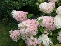 20150919_110329.jpg (152.86 КБ) 19173 просмотра 20150919_110329.jpg