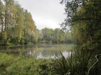 IMG_5123_1.jpg (62.14 КБ) 19183 просмотра IMG_5123_1.jpg