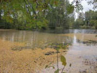 IMG_5107_1.jpg (66.8 КБ) 19223 просмотра IMG_5107_1.jpg