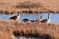 1.jpg (292 КБ) 19189 просмотров 1.jpg