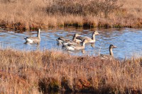 2.jpg (283 КБ) 19172 просмотра 2.jpg