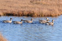 3.jpg (238.68 КБ) 18782 просмотра 3.jpg