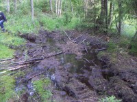 Изображение 202.jpg (400.13 КБ) 11985 просмотров Изображение 202.jpg