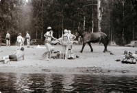 DSC_0120.JPG (778.31 КБ) 15277 просмотров DSC_0120.JPG