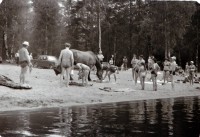 DSC_0118.JPG (776.73 КБ) 14226 просмотров DSC_0118.JPG