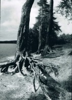 0016.jpg (1008.43 КБ) 15294 просмотра 0016.jpg